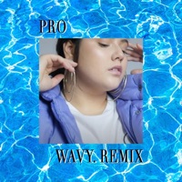 Pro (feat. Maya Soma) [Remix] - Single - Wavy.