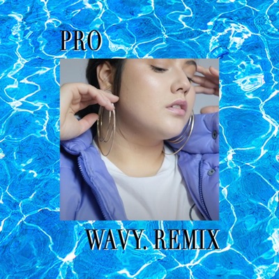 Pro (feat. Maya Soma) [Remix] - Single