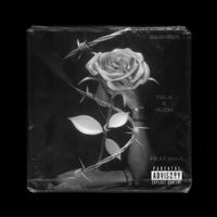 Talk 2 Much (feat. Shvl) - Single - Basheer