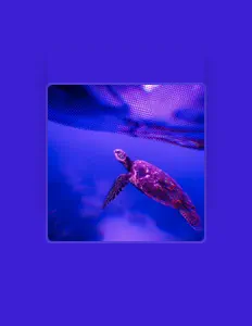 Listen to Tim Purdy, watch music videos, read bio, see tour dates & more!