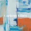 Various Vibes - Single