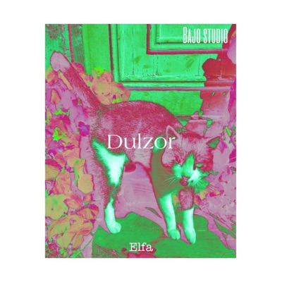 Dulzor (feat. Elfa) - Single