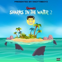 Sharks in the Water 2 - Ghandiii