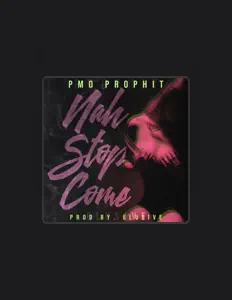 Posłuchaj wykonawcy PMO Prophit, obejrzyj teledyski, przeczytaj biografię, zobacz daty tras koncertowych i nie tylko!