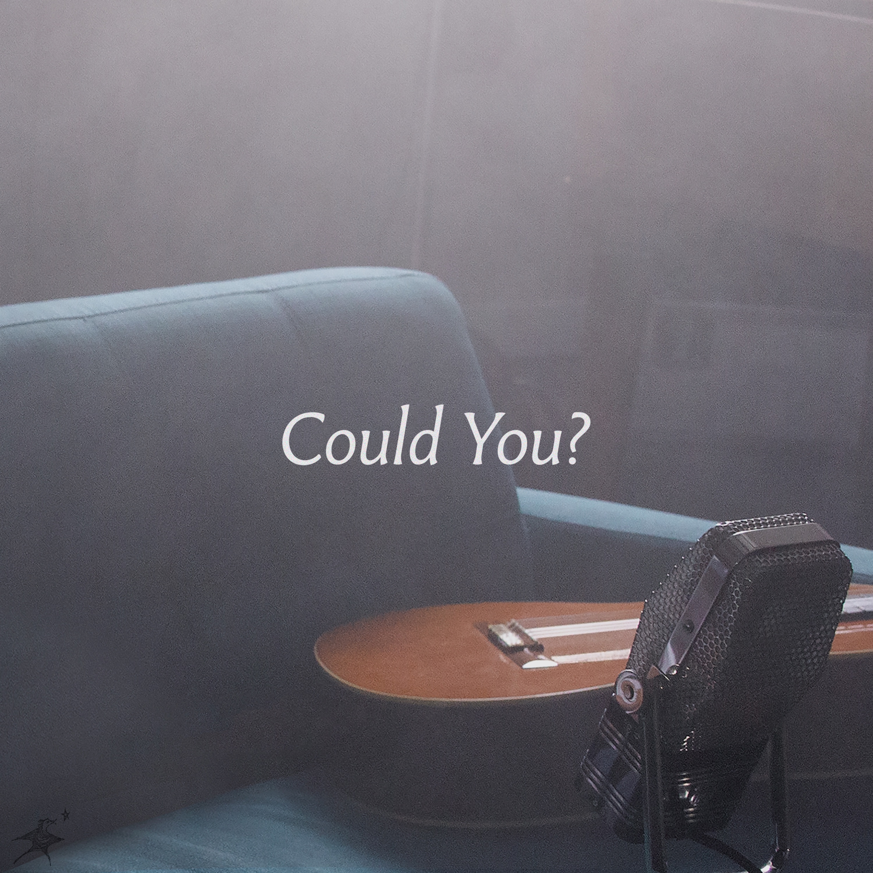 Could You? - Single