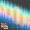 Into the Wave (feat. Jacob Mann, Sam Wilkes & Tamir Barzilay) - Single