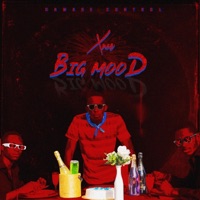 Big Mood - EP - Xnoe