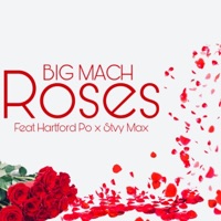 Roses (feat. Hartford Po & Stvy Max) - Single - Big Mach