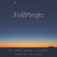 If They Didn't Know - Single - FellPeepz