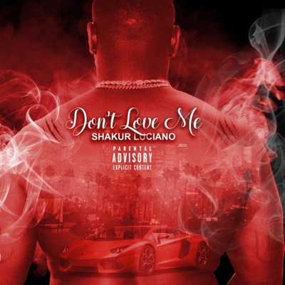 Don't Love Me - Single