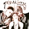 Tribalistas (2004 Digital Remaster) artwork