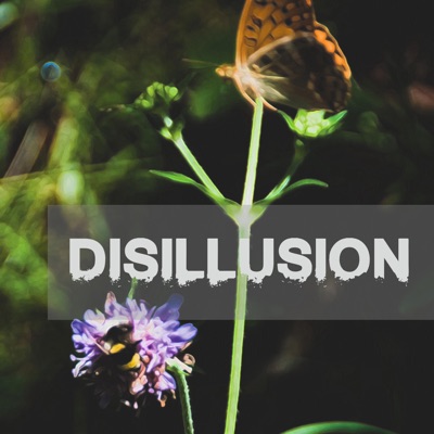Disillusion - Single