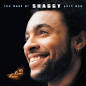 Shaggy - Nice And Lovely (with Rayvon)