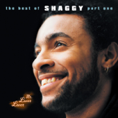 Boombastic - Shaggy Cover Art