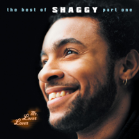 Boombastic - Shaggy Cover Art