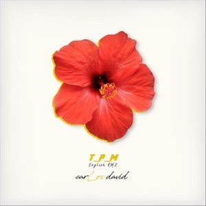 T.P.M. (Todo Para Mi) [English Remix]