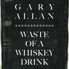 Waste Of A Whiskey Drink - Single