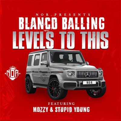 Levels To This (feat. Mozzy & Stupid Young) - Single