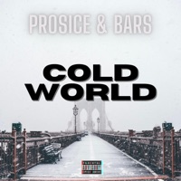 Cold World (feat. Bars) - Single - Prosice