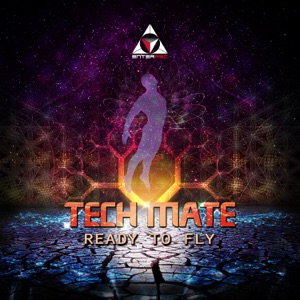 Ready to Fly - Single