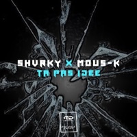 Ta Pas Idée (feat. Mous-K) - Shvrky