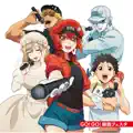 GO! GO! Saibou Festa