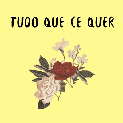 Tudo Que Cê Quer - Single
