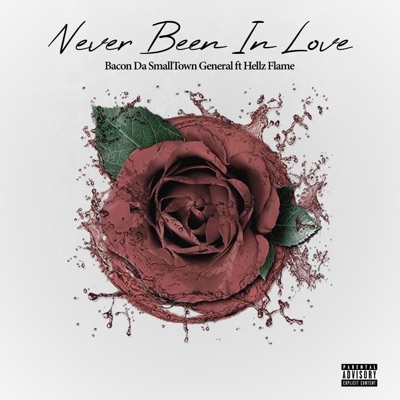 Never Been in Love (feat. Hellz Flame) - Single