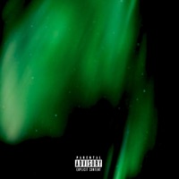 Victim (feat. Sybyr, Shark & Leon'sWOLF) - Single - Anti-World