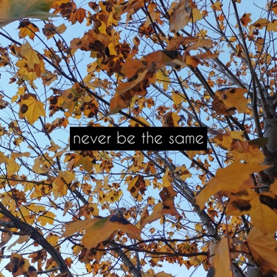 Never Be the Same (feat. Rosie Samra) - Single