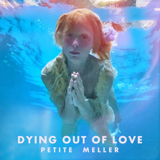Cover artwork for Dying out of Love (feat. Hyena)