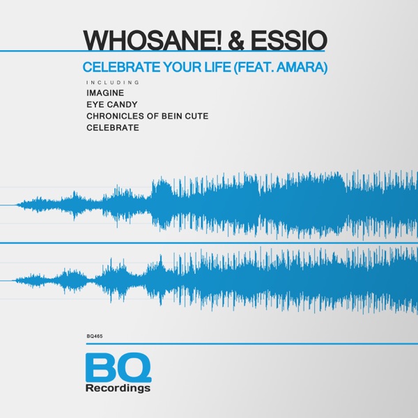 Celebrate Your Life (With Amara) - EP