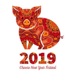 Chinese New Year Festival 2019: The Year of the Pig, Tuneful Oriental Celebration, Top of Traditional Chinese Music