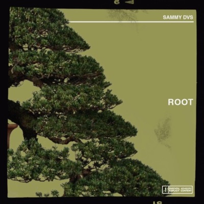 Root (feat. Sunset Trei) - Single