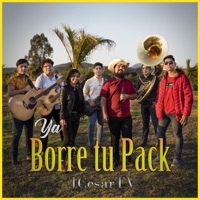 Ya borré tu pack - Single - Jcesartv