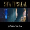 Çığlık Çığlığa