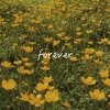 Forever - Single