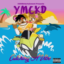 Catching a Vibe YmCkd