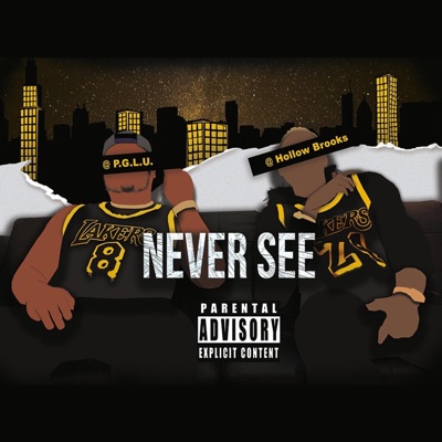 Never See (feat. Hollow Brooks) - Single