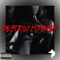 Destroy My Body - Single - Wolfklll