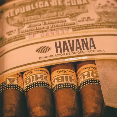 Havana (Deep Afro Tech) - Single - Kaysha