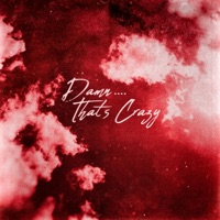 Damn ... That's Crazy (feat. DMB Jones) - Single - DreLee863