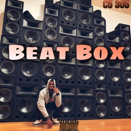 Beat Box 2 C5 305