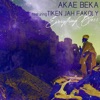 Everything Bless (feat. Tiken Jah Fakoly) - Single