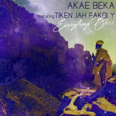 Everything Bless (feat. Tiken Jah Fakoly) artwork