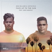 Face Up To The Sun (feat. Sara Sangfelt) artwork