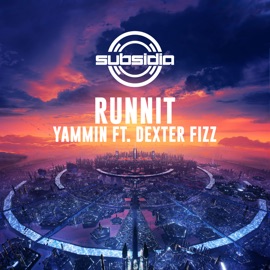 Yammin (feat. Dexter Fizz) Runnit