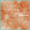 Relaxation & Meditation - Oasis of Meditation