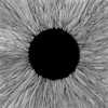 VOLA - These Black Claws (feat. Shahmen)
