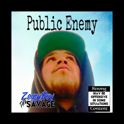 Public Enemy - Single